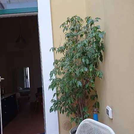 Haripergo